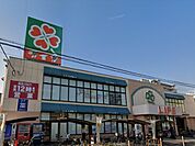 ライフ正雀店(スーパー)まで233m