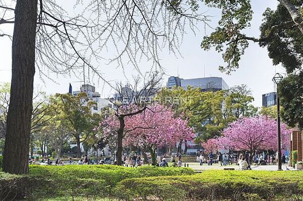 パークアクシス横濱関内ＳＱＵＡＲＥ ｜神奈川県横浜市中区相生町3丁目(賃貸マンション1R・13階・25.50㎡)の写真 その22