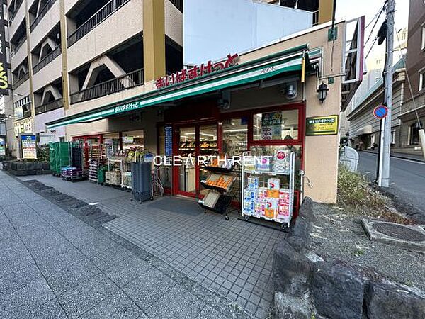 グリフィン横浜・山下公園弐番館 710｜神奈川県横浜市中区山下町(賃貸マンション1K・7階・24.94㎡)の写真 その18