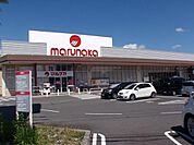 マルナカ高瀬店まで628ｍ