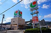 マルショク山本店(スーパー)まで308m