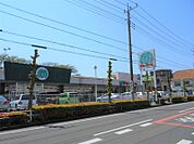 マミーマート小手指店 177m