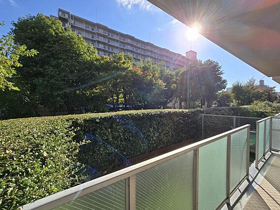 陽当りが遮られ...