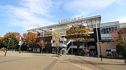 セントラルパーク　ウッズ