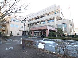 セントラルパーク　ウッズ
