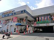 大学1「広島県立広島大学広島キャンパスまで1131ｍ」