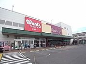 ドラックストア「ウォンツ江波店まで406ｍ」