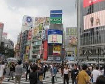 東京都渋谷区神山町(賃貸マンション1R・3階・50.08㎡)の写真 その24