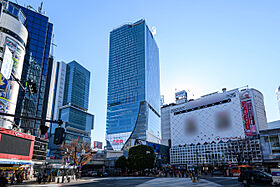 東京都渋谷区神山町（賃貸マンション1K・2階・28.36㎡） その27