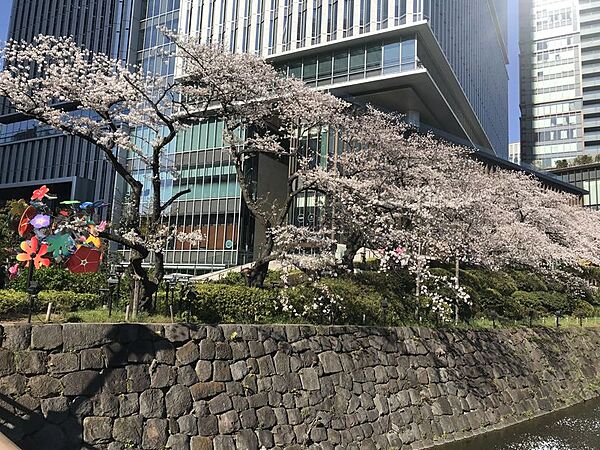 東京都千代田区永田町２丁目(賃貸マンション1R・3階・35.46㎡)の写真 その26