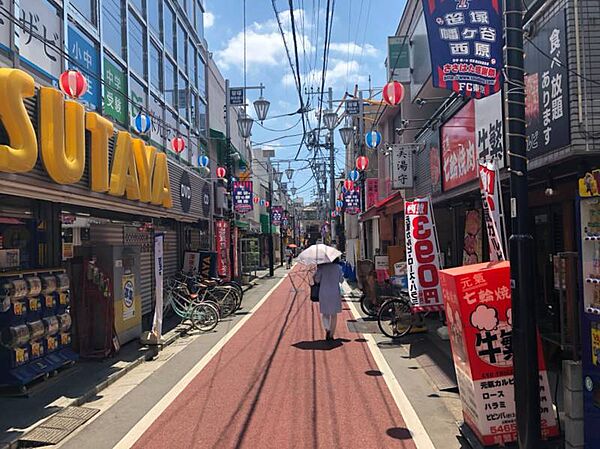 東京都渋谷区笹塚２丁目(賃貸マンション1LDK・11階・41.30㎡)の写真 その19