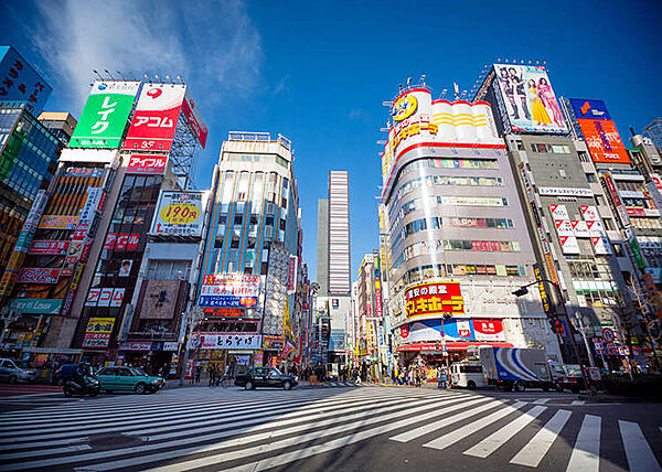 東京都新宿区新宿６丁目(賃貸マンション1DK・4階・30.59㎡)の写真 その22