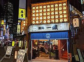 東京都新宿区西新宿８丁目（賃貸マンション2LDK・13階・54.00㎡） その17