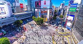 東京都渋谷区渋谷１丁目（賃貸マンション1K・7階・27.04㎡） その16