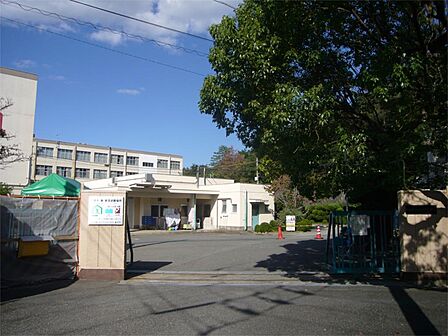 高槻市立安岡寺小学校(589m)