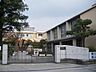 周辺：茨木市立養精中学校（509m）
