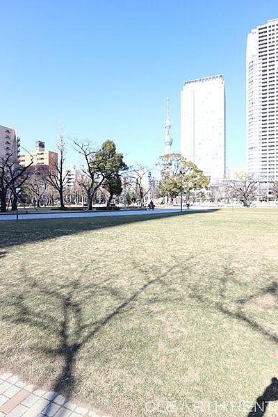 パークアクシス本所・親水公園 ｜東京都墨田区本所4丁目(賃貸マンション1LDK・7階・41.08㎡)の写真 その13