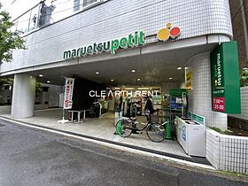 カーサスプレンディッド麹町  ｜ 東京都千代田区麹町2丁目（賃貸マンション1K・4階・25.38㎡） その28