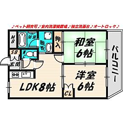 シビルコート 4階/-