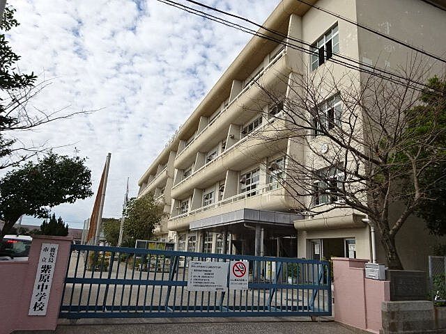 周辺 シャイニー紫原 14階/-