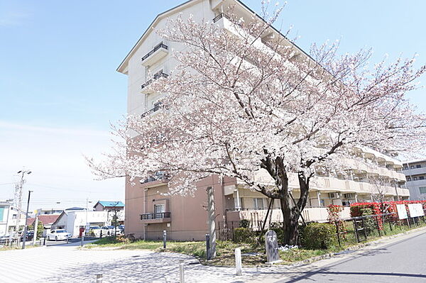 URアーバンラフレ小幡 ｜愛知県名古屋市守山区小幡太田1丁目(賃貸マンション3LDK・4階・74.52㎡)の写真 その16