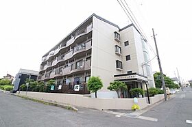 大みかガーデンハウス 301号室 ｜ 茨城県日立市大みか町（賃貸マンション3LDK・3階・75.60㎡） その1