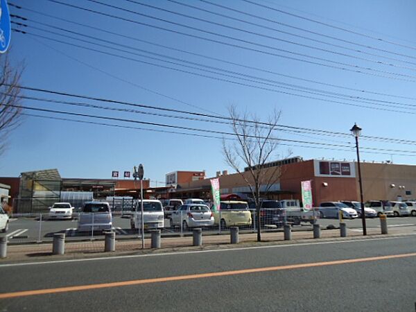 画像30:ホームセンター山新常陸太田店