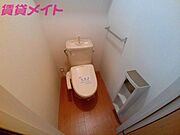同型反転タイプ