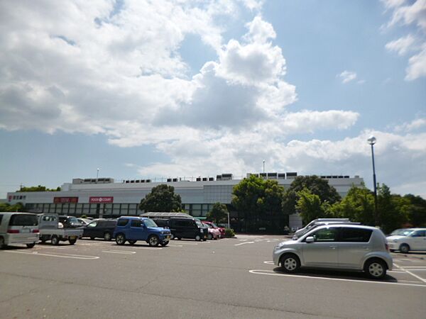 画像19:イオン　大安店