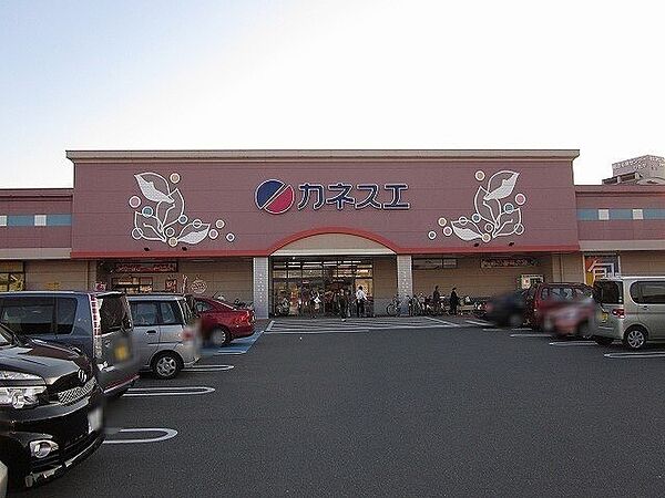 画像18:カネスエ日永店