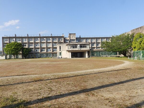 レジデンスタイコー 307｜三重県津市中河原(賃貸マンション2DK・3階・40.50㎡)の写真 その18