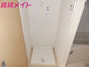 同型反転タイプ