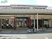 英心高等学校 1100m
