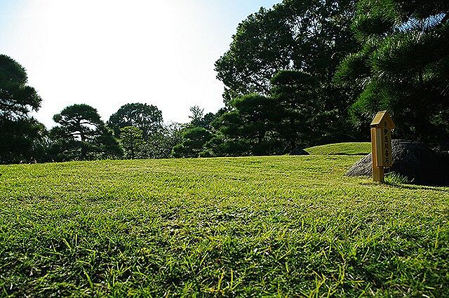 周辺 ハイシティ清澄白河ステーションプラザ 9階/-
