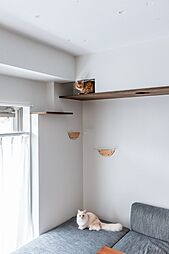 猫が自由に過ごせる空間設計