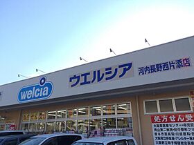 エスポワールIIＣ棟  ｜ 大阪府河内長野市小塩町（賃貸アパート2LDK・2階・47.55㎡） その30