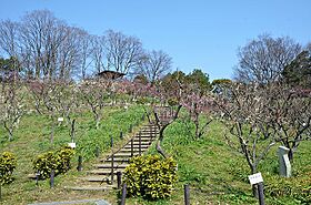 クリプトメリア　アヴェニュ－  ｜ 大阪府河内長野市松ケ丘中町（賃貸アパート1LDK・2階・42.37㎡） その25