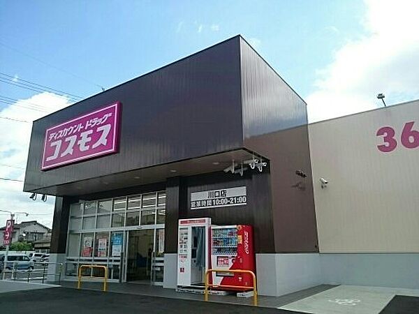 画像19:コスモス川口店まで500m