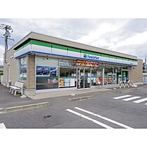 長野県塩尻市大字広丘堅石（賃貸アパート1LDK・1階・40.53㎡） その27