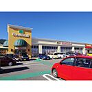 ドラックストア「サンドラッグ岡谷店まで1015ｍ」