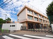 周辺環境-小学校(1300m)練馬区立南が丘小学校