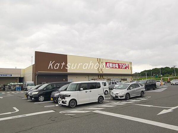 Serena Garden ｜千葉県流山市思井(賃貸マンション1LDK・2階・48.93㎡)の写真 その23