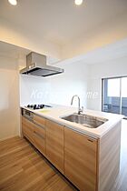 B CITY ART RESIDENCE CENTRAL PARK 702 ｜ 千葉県流山市前平井125-1（賃貸マンション2LDK・7階・52.65㎡） その5