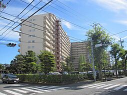 物件画像 ファミール南常盤平　1階