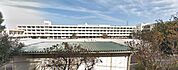 根戸小学校