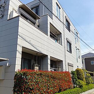 外観 外観