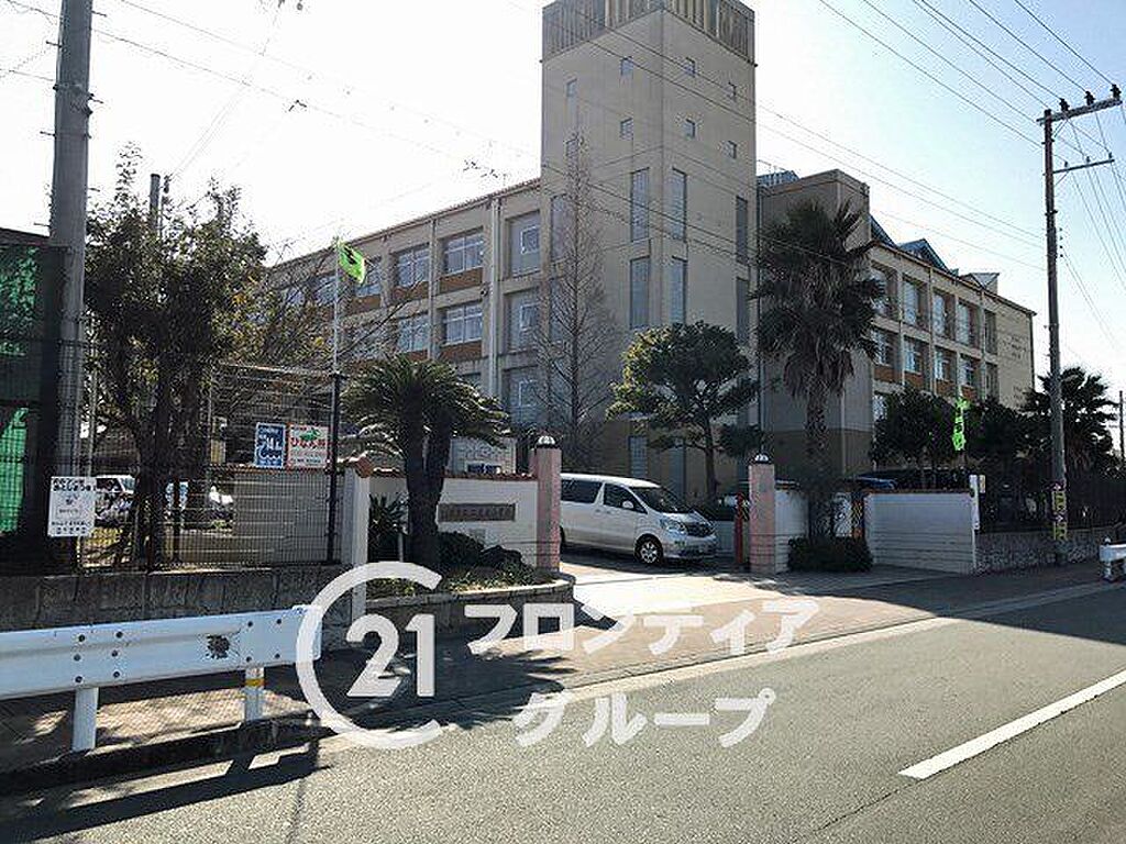 Image 7