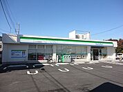 ファミリーマートさいたま日進町二丁目店 451m
