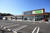 コープ大宮中川店 1047m
