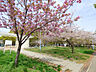 周辺：平野白鷺公園(公園)まで882m